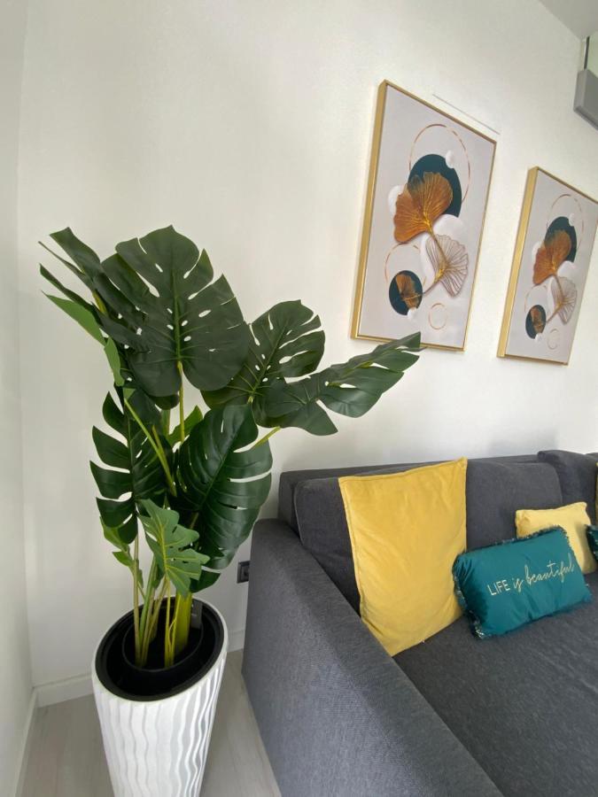 Luxury Loft Apartment Ribeira Grande Exterior foto